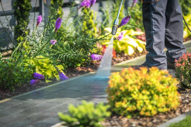 Trusted Spring Valley, CA Pressure Washing Services Experts